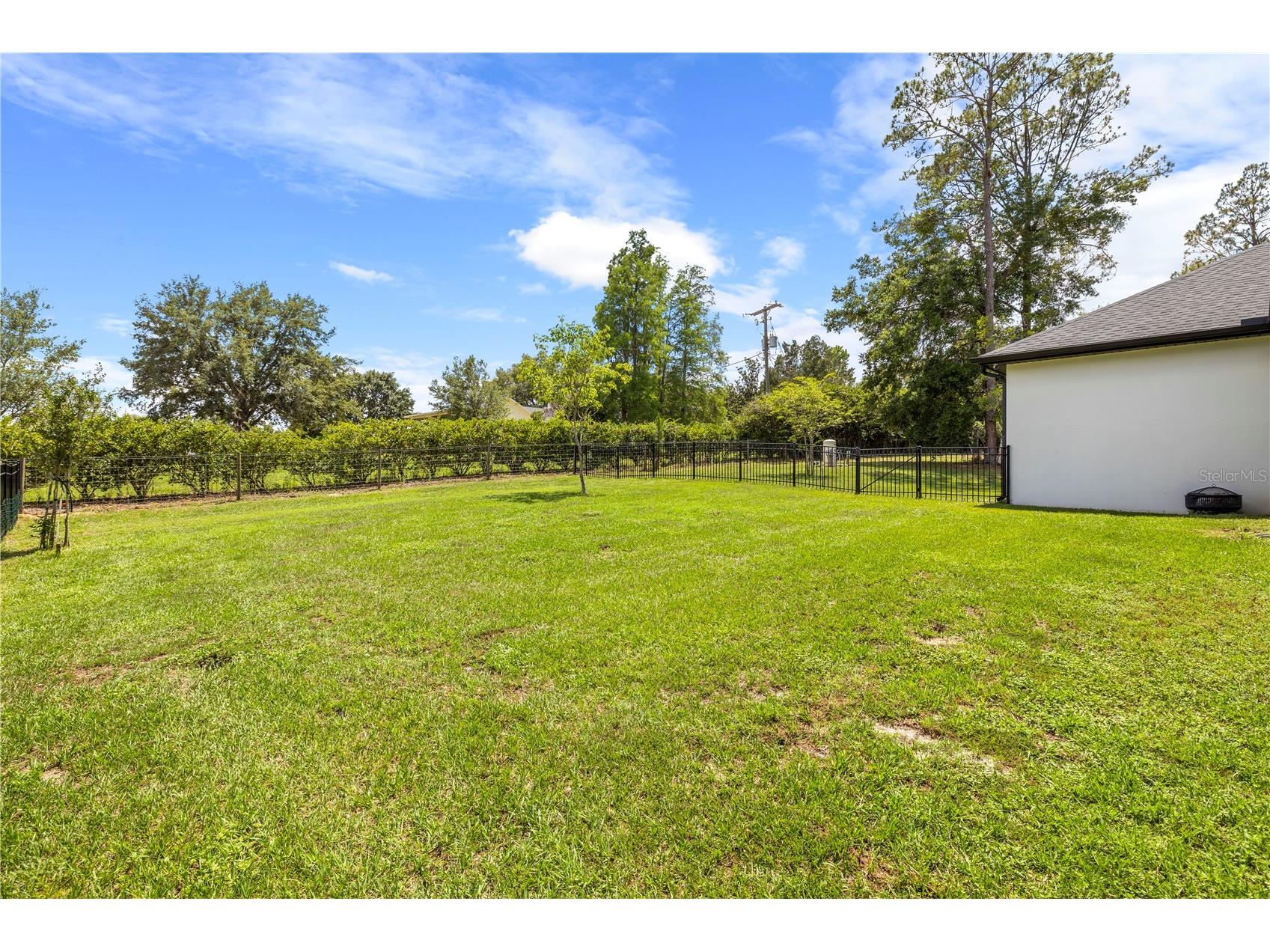35940 Ramsey Ridge Drive Dade City FL 33523 TB8511394 image47