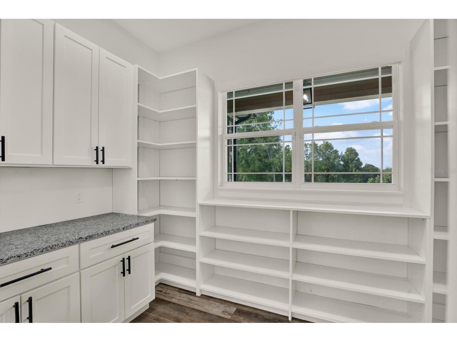 35940 Ramsey Ridge Drive Dade City FL 33523 W7887381 image11