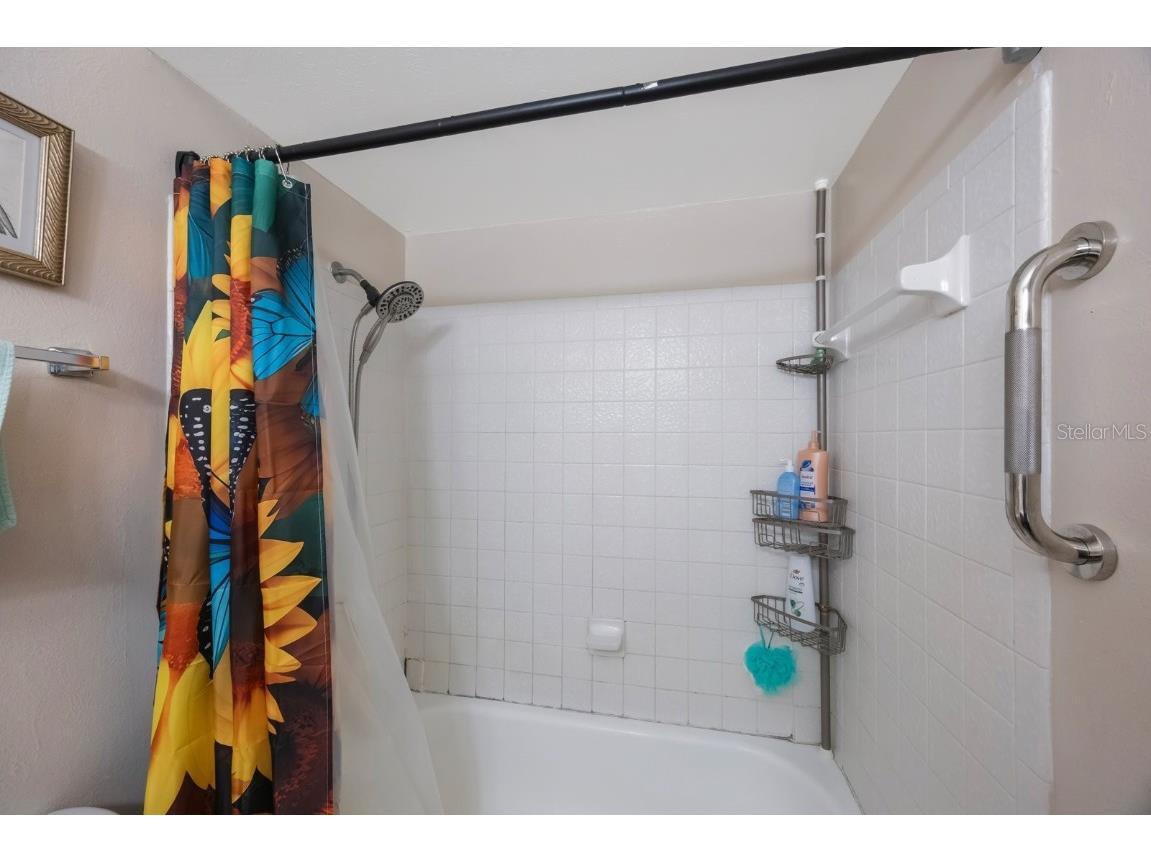 3595 41st Lane S #H Saint Petersburg FL 33711 TB8424337 image33