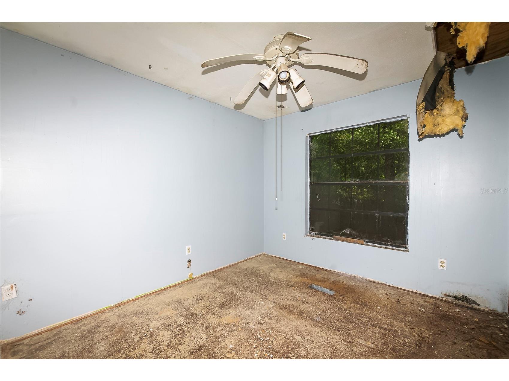 3596 W Ivy Street Dunnellon FL 34433 V4950385 image29