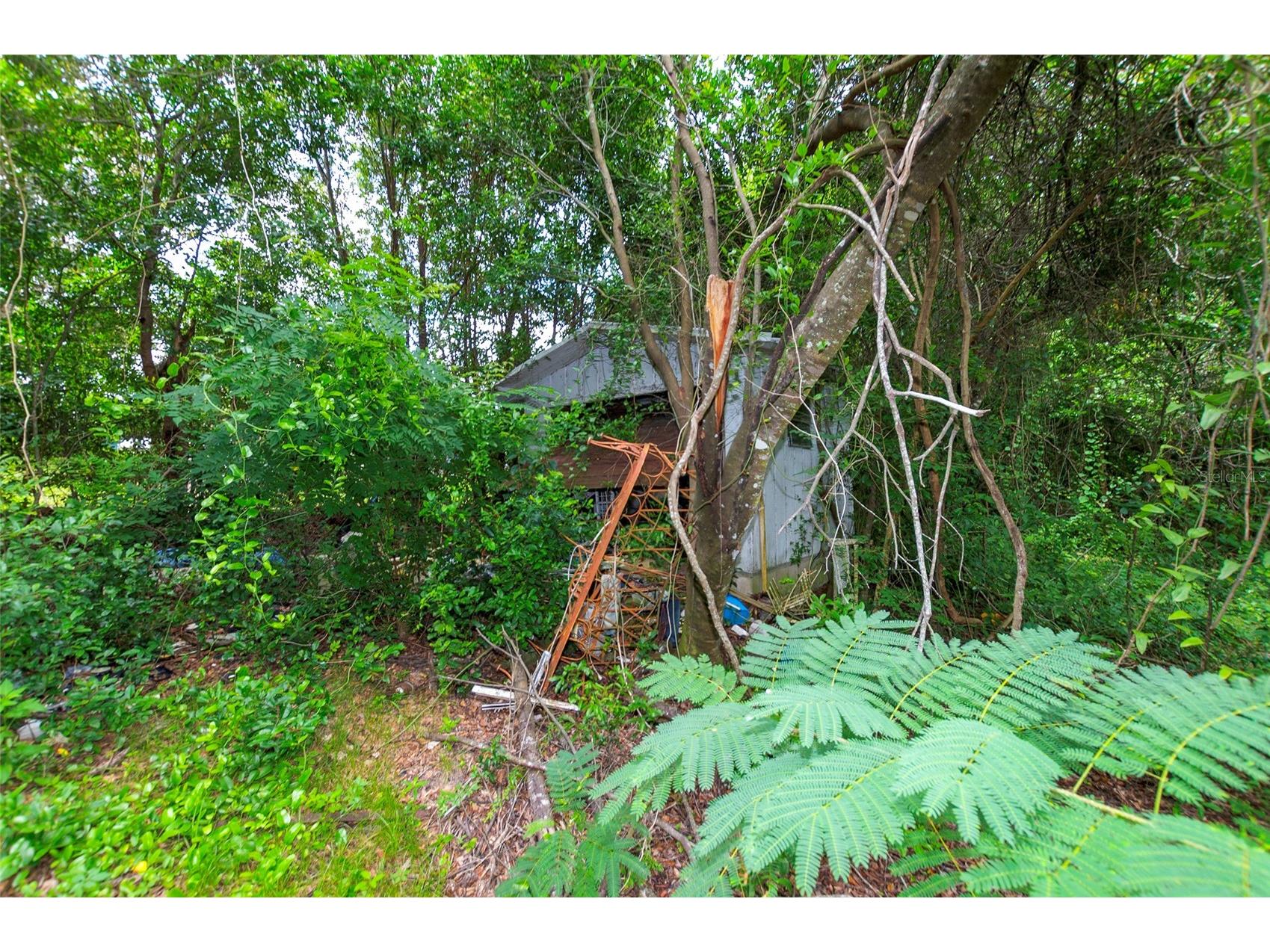 3596 W Ivy Street Dunnellon FL 34433 V4950385 image43