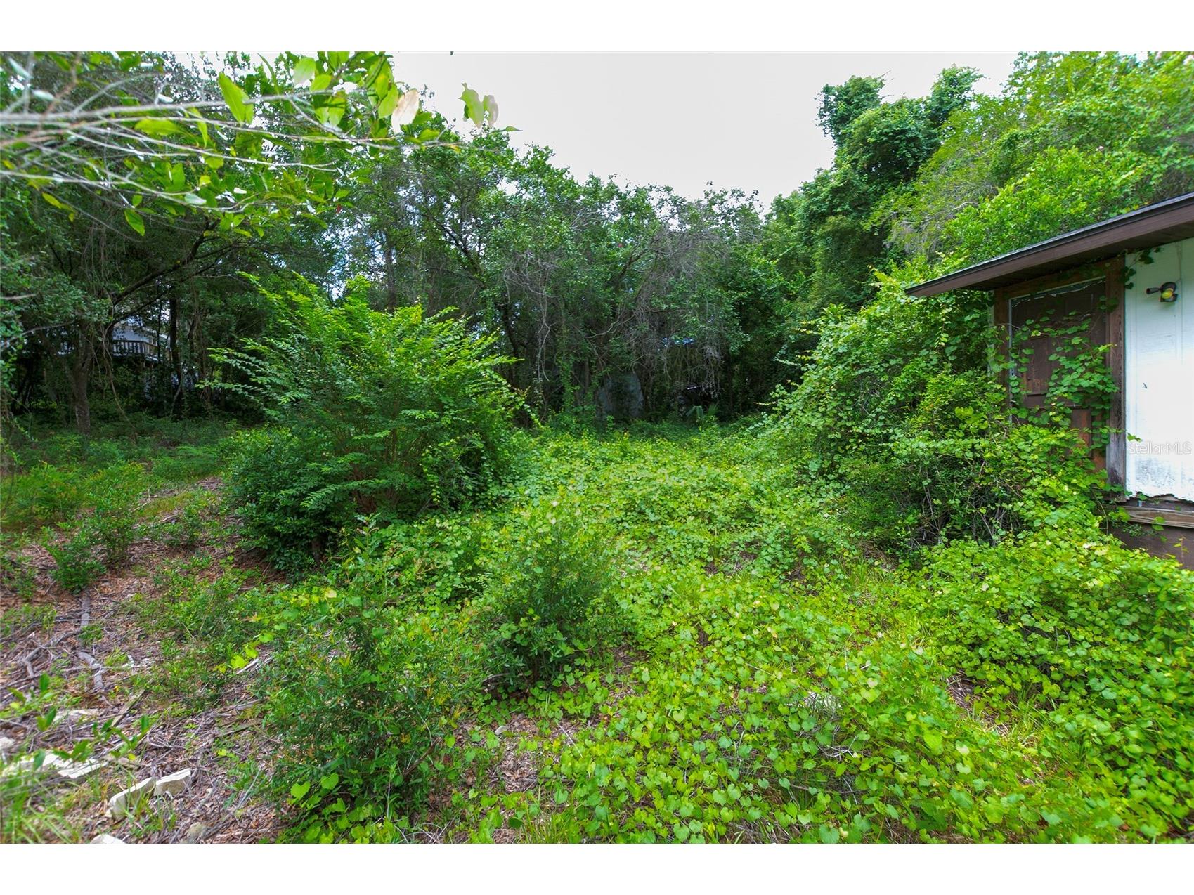 3596 W Ivy Street Dunnellon FL 34433 V4950385 image44