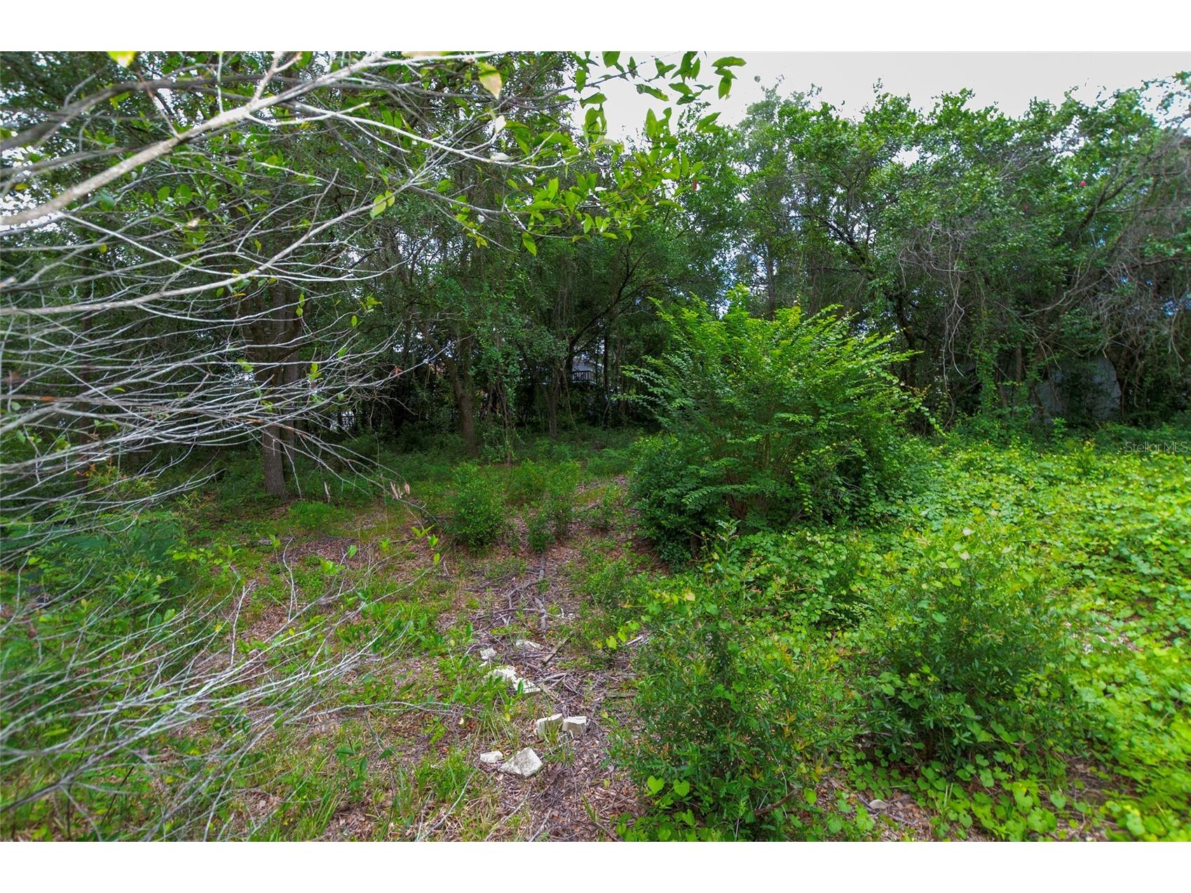 3596 W Ivy Street Dunnellon FL 34433 V4950385 image46