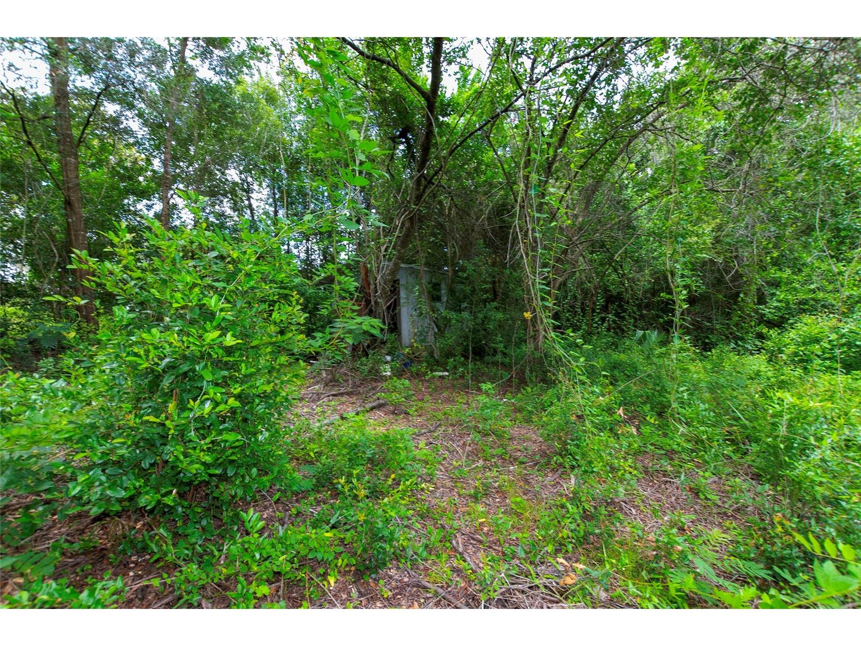 3596 W Ivy Street Dunnellon FL 34433 V4950385 image47