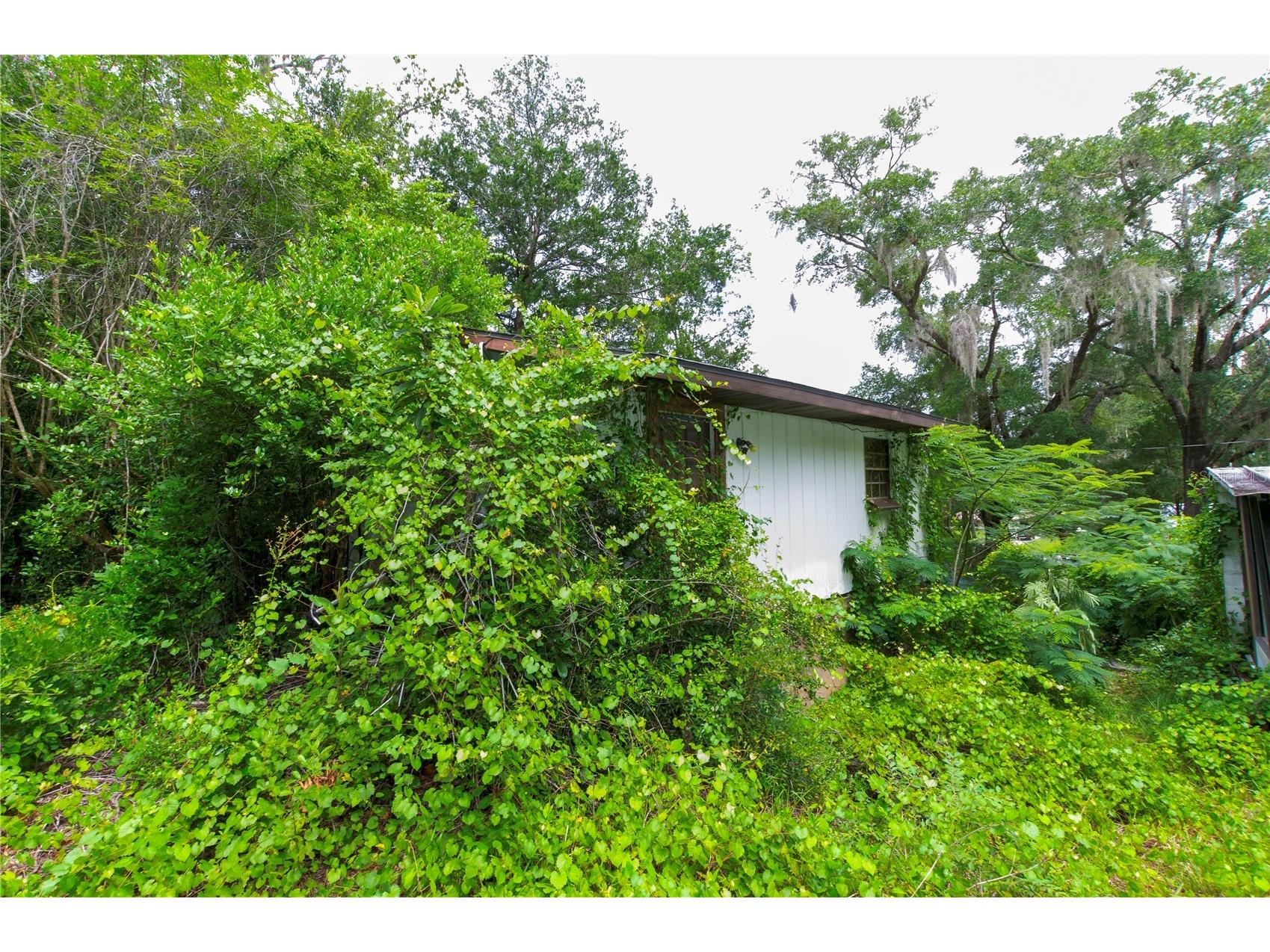 3596 W Ivy Street Dunnellon FL 34433 V4950385 image48
