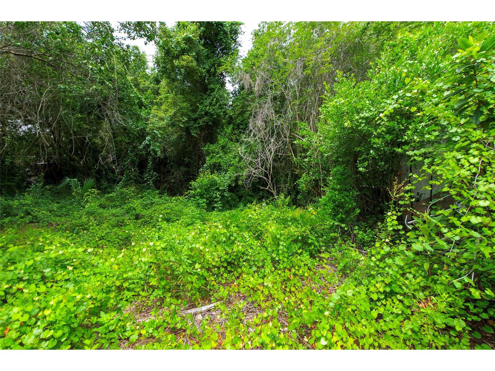 3596 W Ivy Street Dunnellon FL 34433 V4950385 image49