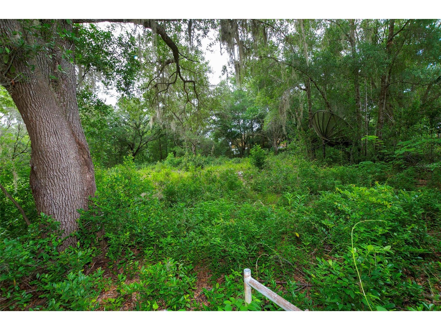 3596 W Ivy Street Dunnellon FL 34433 V4950385 image50