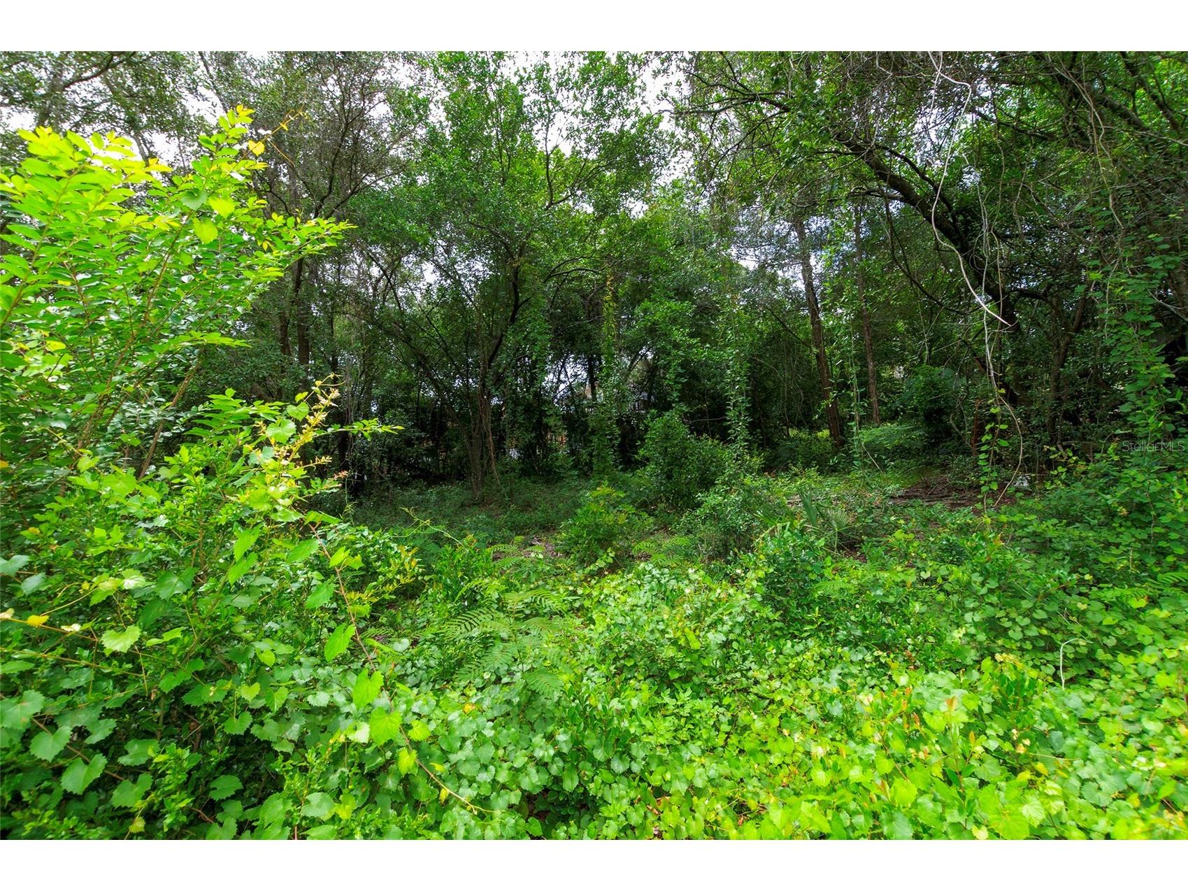 3596 W Ivy Street Dunnellon FL 34433 V4950385 image53