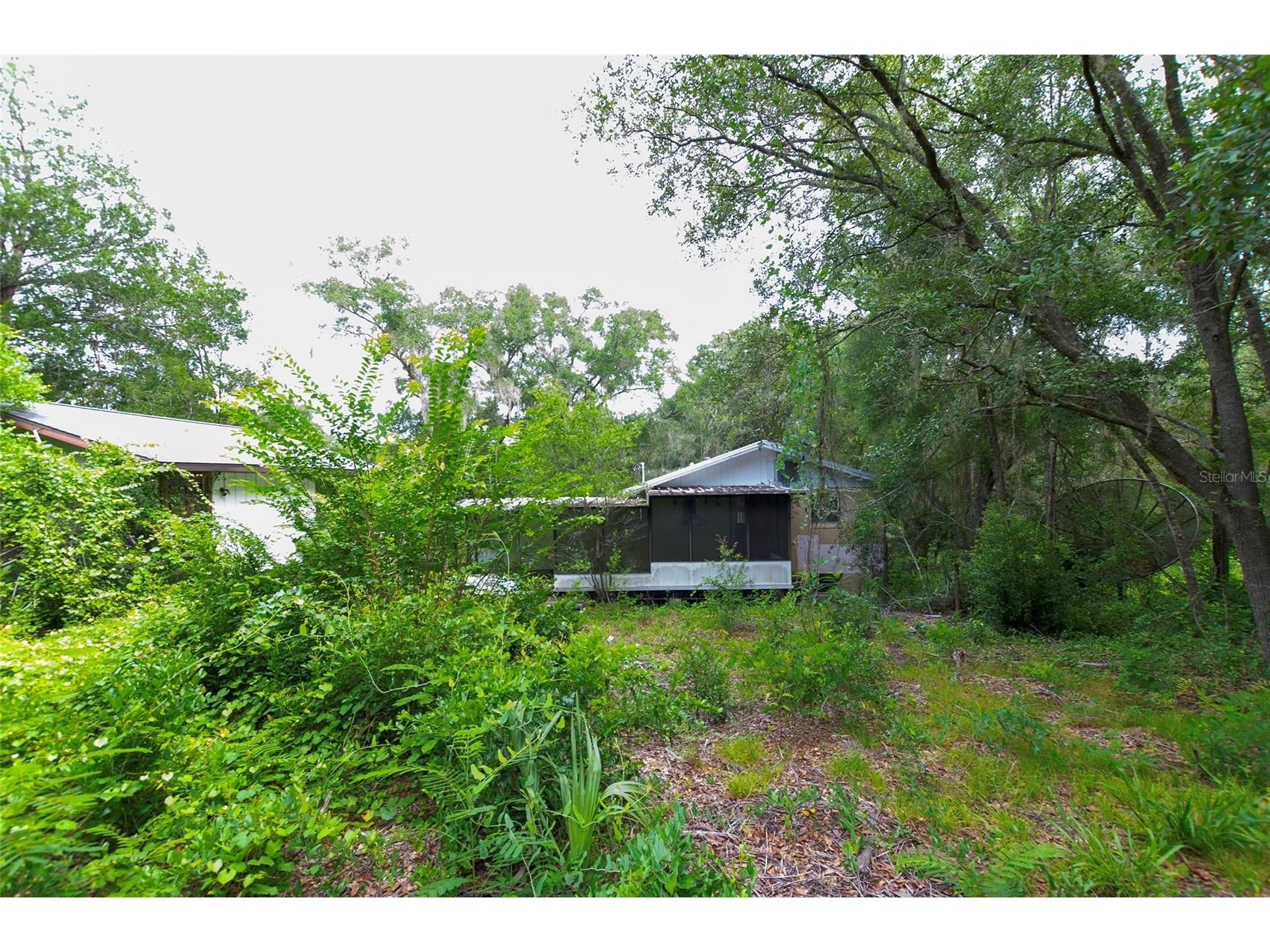 3596 W Ivy Street Dunnellon FL 34433 V4950385 image54