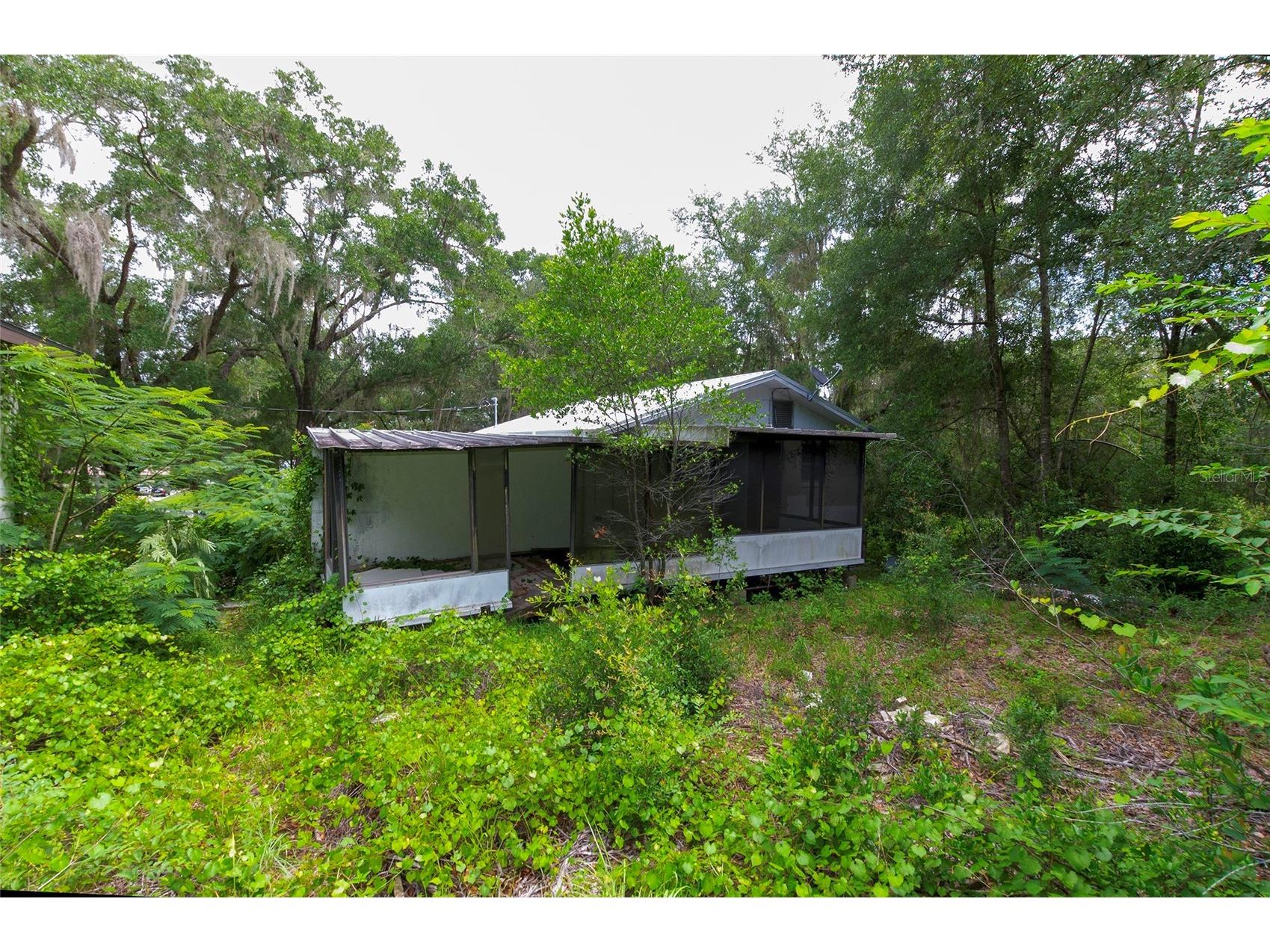 3596 W Ivy Street Dunnellon FL 34433 V4950385 image55