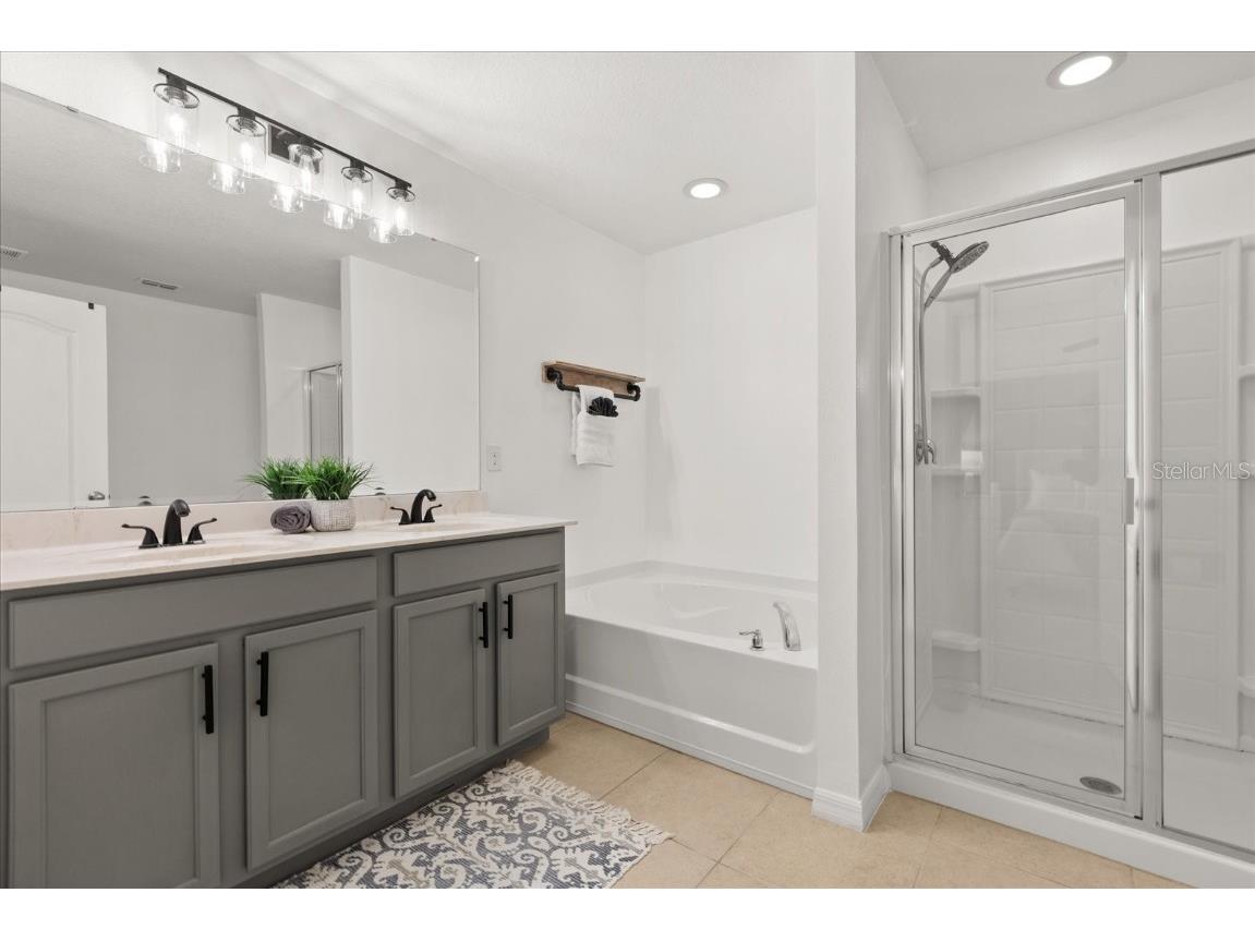 3597 Umbrella Court Tavares FL 32778 O6332490 image18