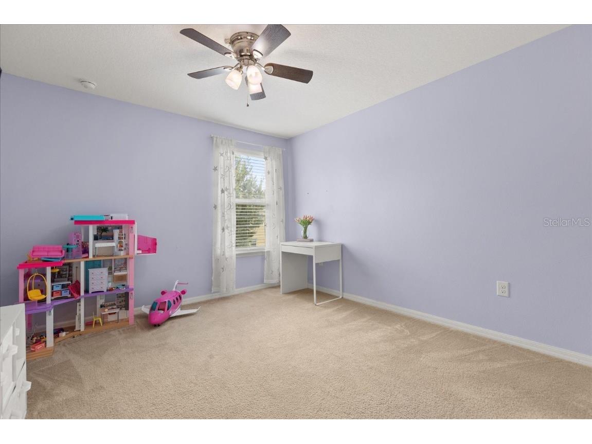 3597 Umbrella Court Tavares FL 32778 O6332490 image29