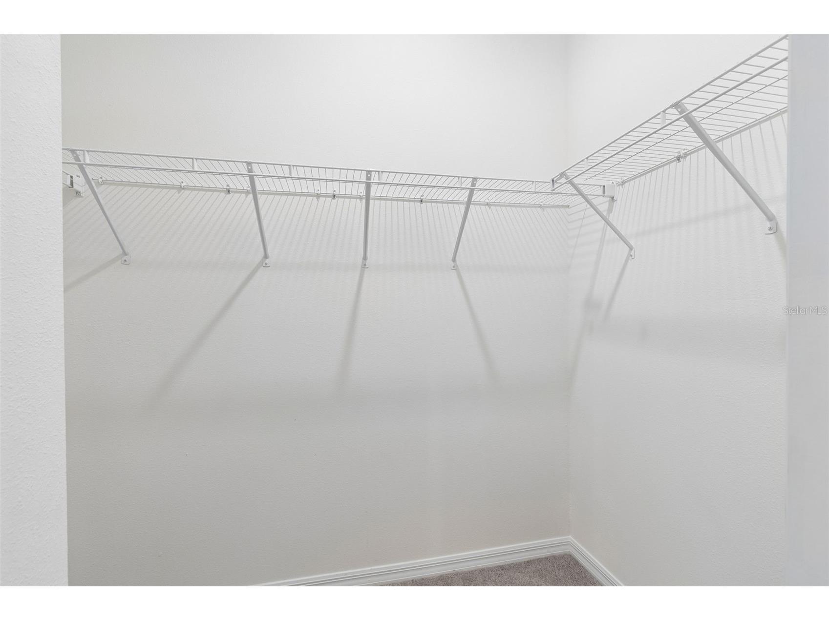 35977 Morse Willow Court Zephyrhills FL 33541 TB8496869 image21