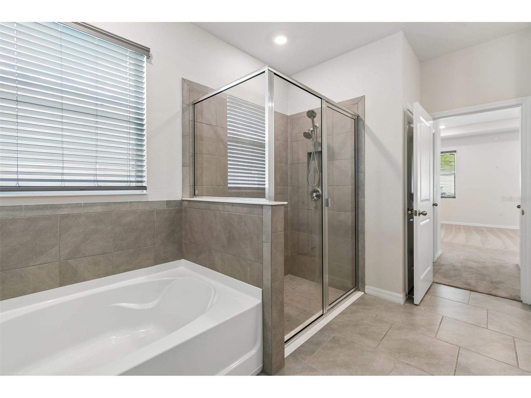 35977 Morse Willow Court Zephyrhills FL 33541 TB8496869 image27