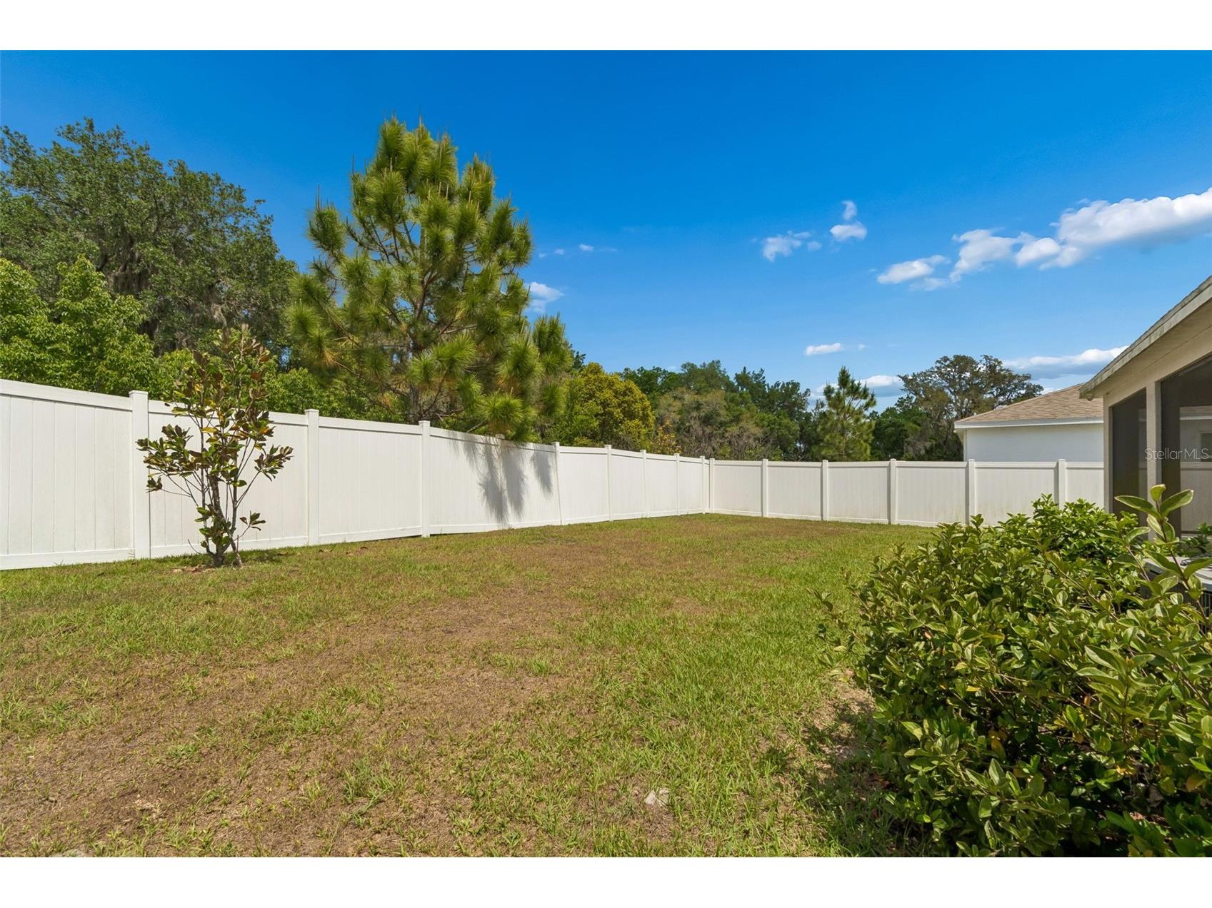 35977 Morse Willow Court Zephyrhills FL 33541 TB8496869 image46