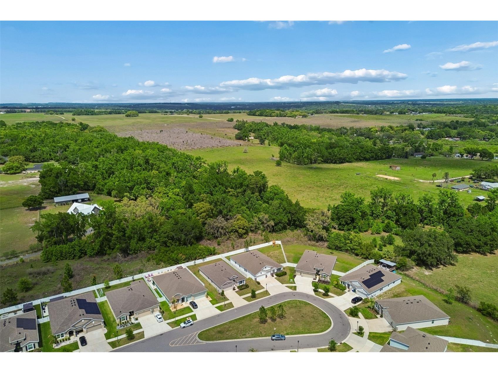 35977 Morse Willow Court Zephyrhills FL 33541 TB8496869 image53