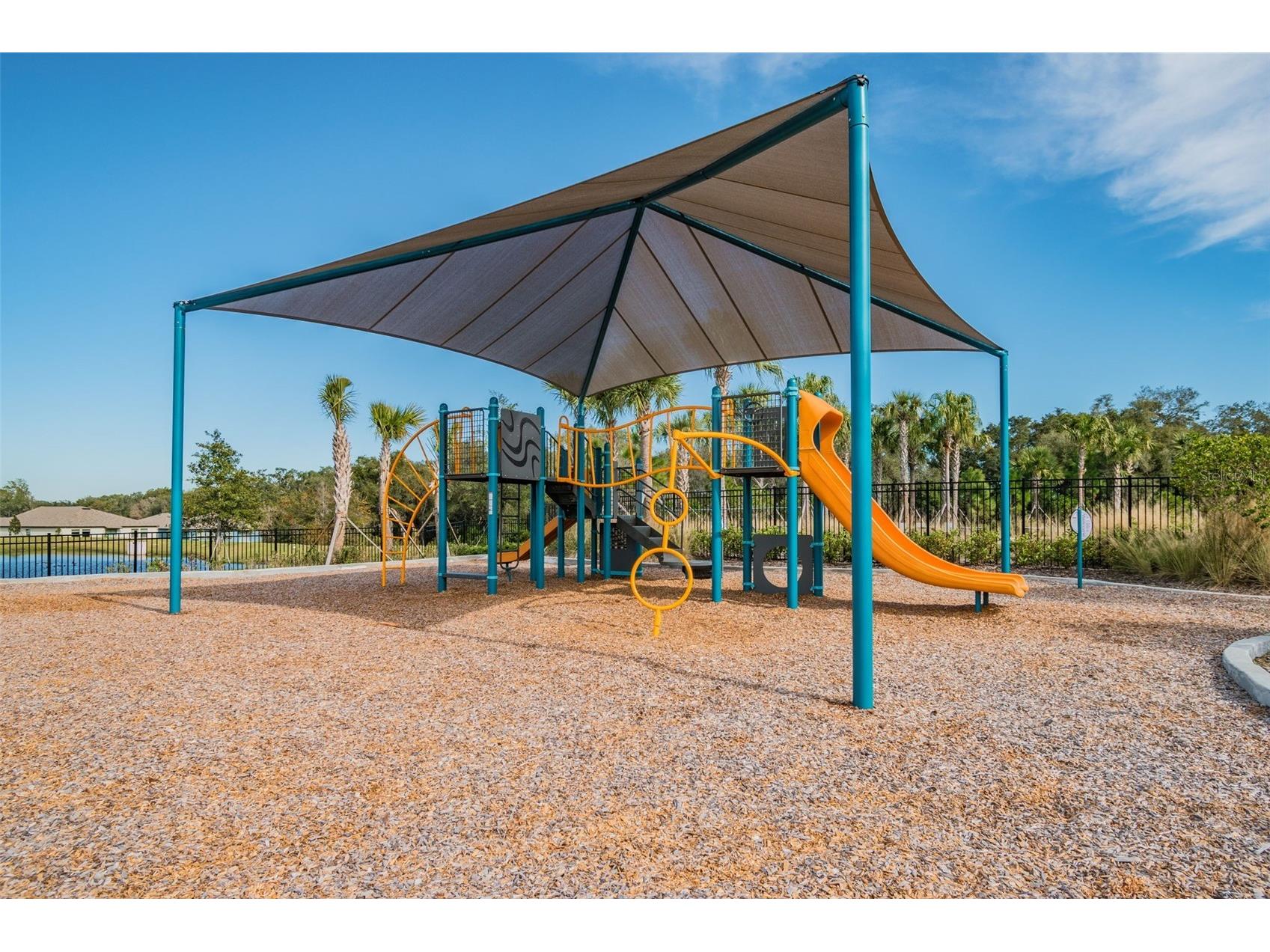 35977 Morse Willow Court Zephyrhills FL 33541 TB8496869 image68