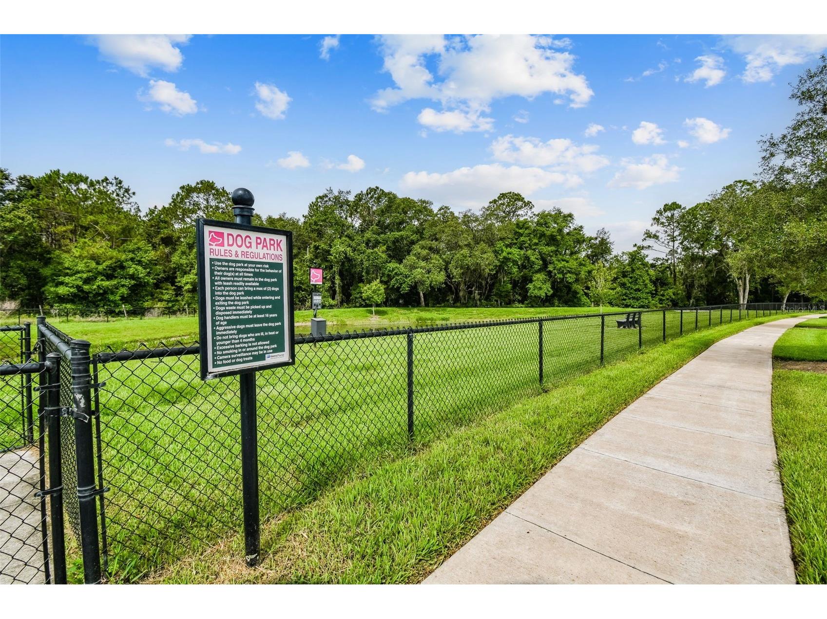 35977 Morse Willow Court Zephyrhills FL 33541 TB8496869 image71