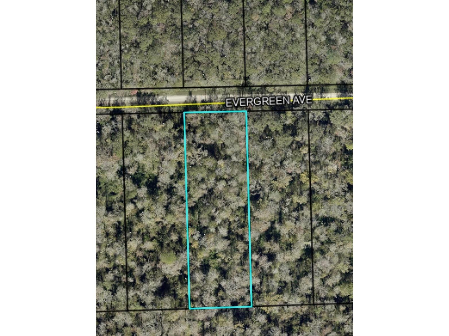 3599 Evergreen Avenue Bunnell FL 32110 FC318641 image1