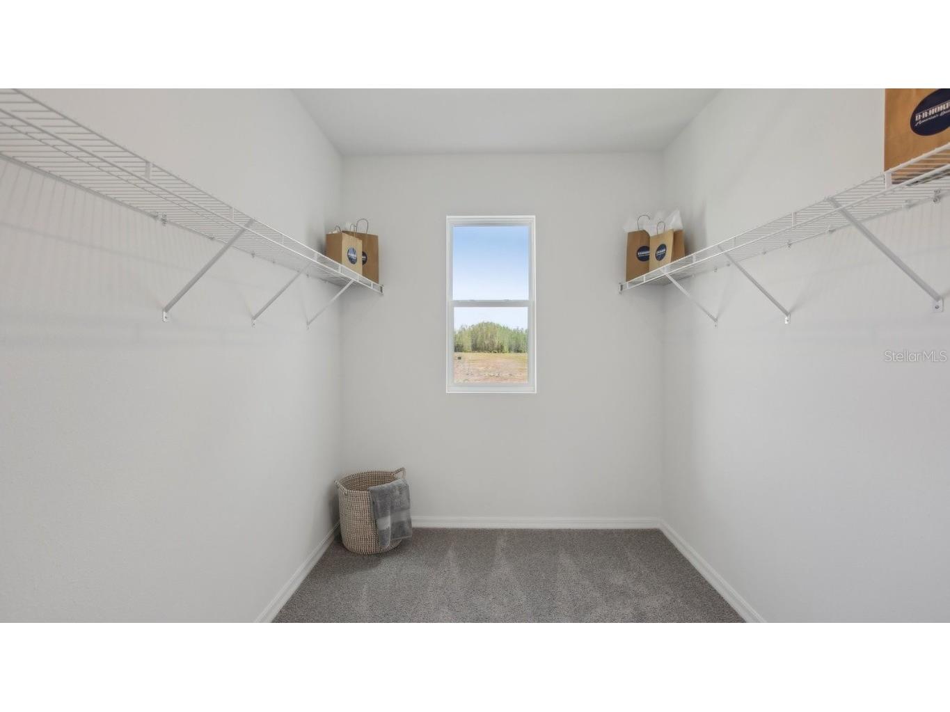 35991 Sunflower Hill Drive Zephyrhills FL 33541 TB8439796 image26