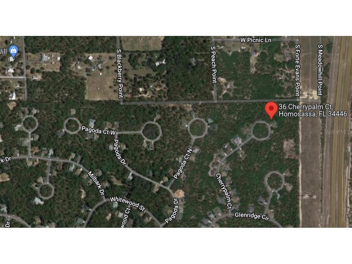 36 Cherrypalm Court Homosassa FL 34446 O6238568 image5