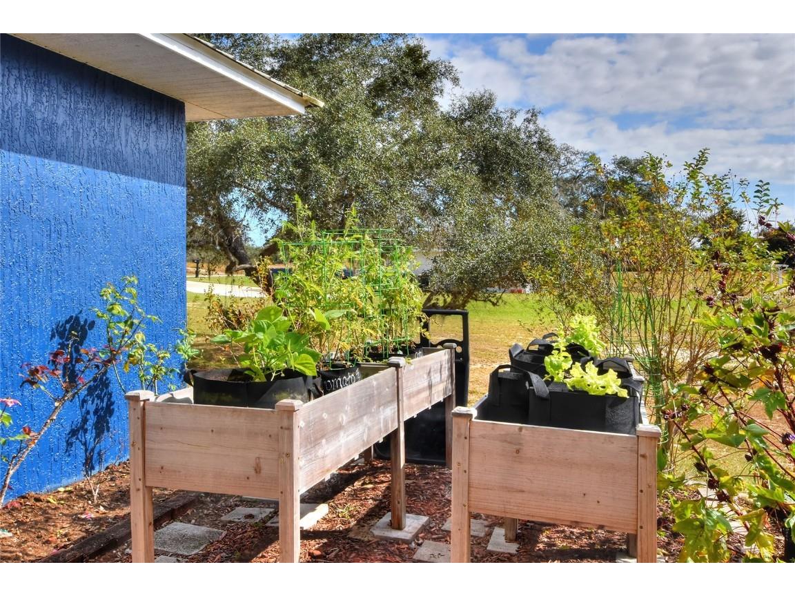 36 Fairway Drive Babson Park FL 33827 P4936945 image37