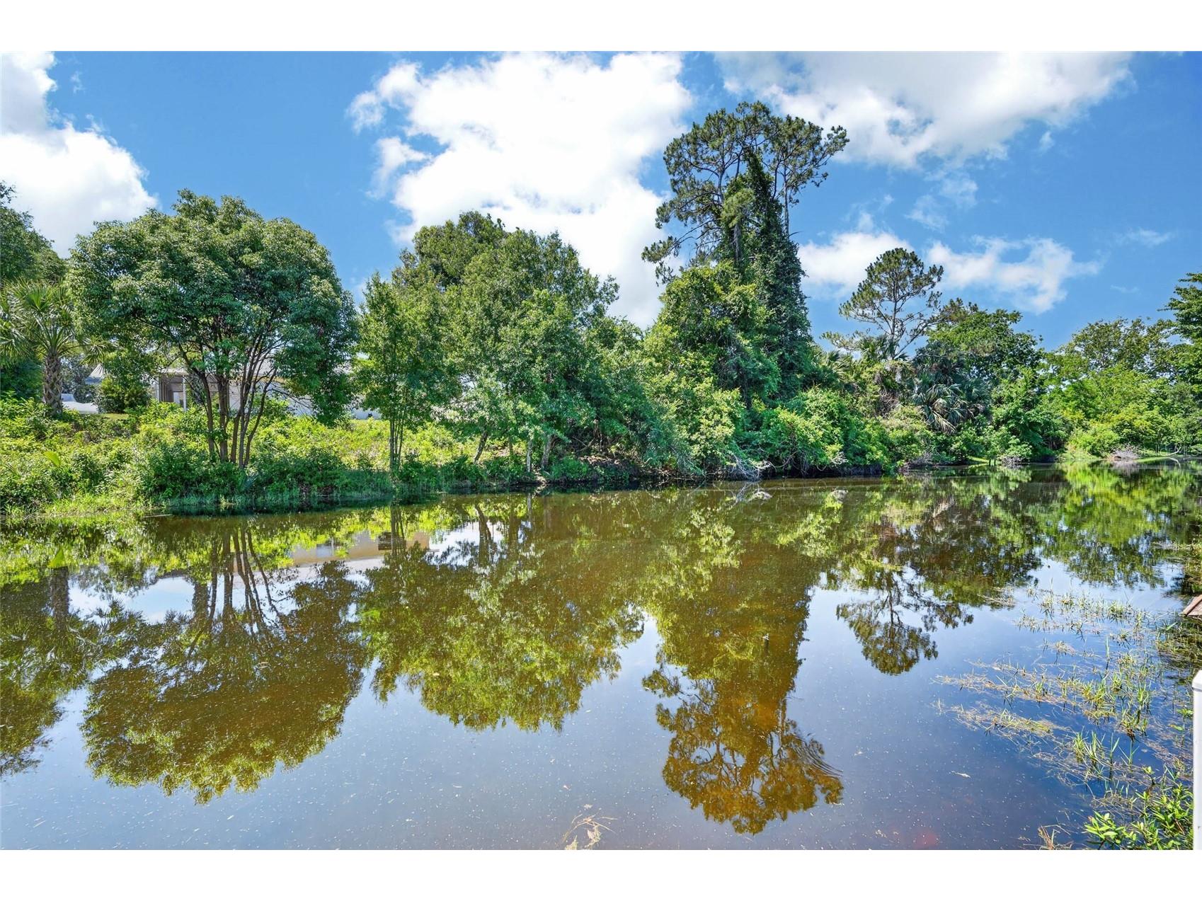36 Flamingo Drive Palm Coast FL 32137 FC318662 image48