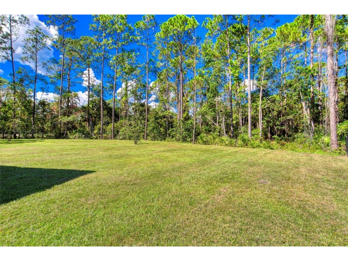 36 Kaywood Place Palm Coast FL 32164 V4945397 image39