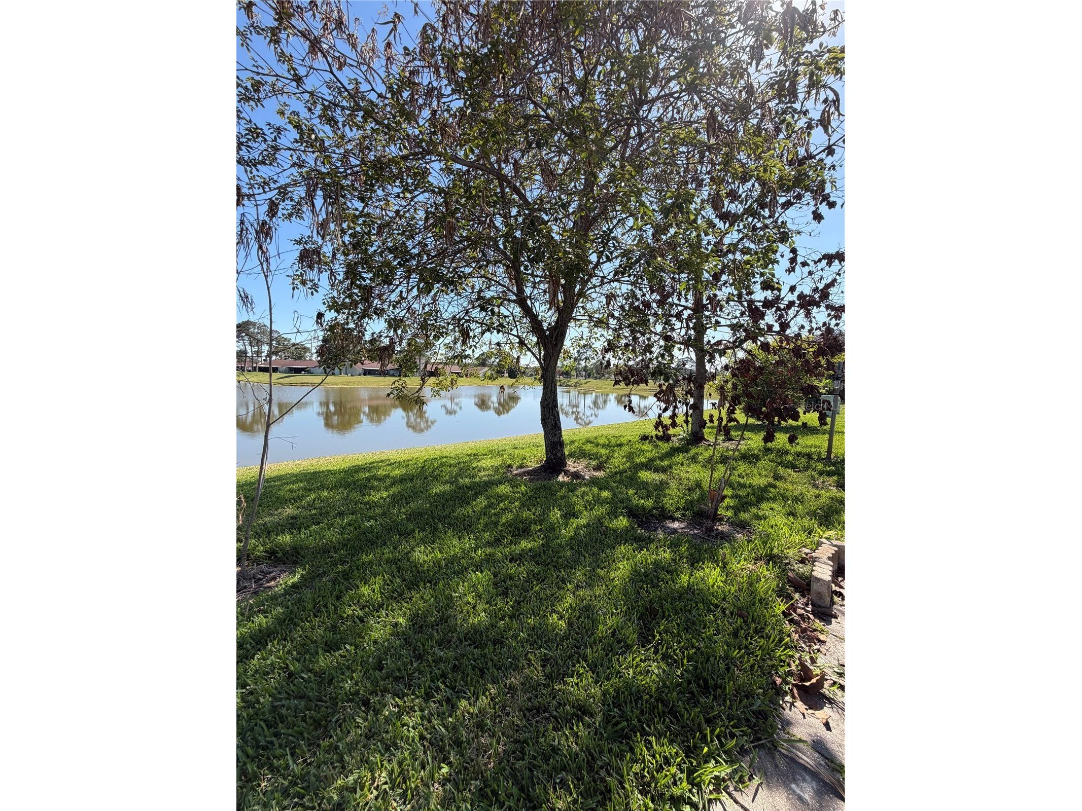 36 Lakepointe Circle Kissimmee FL 34743 S5147950 image43