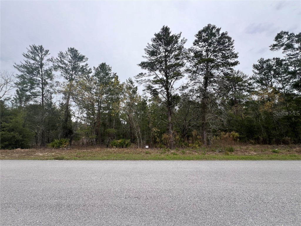 36 Lone Pine Street Homosassa FL 34446 U8233454 image1