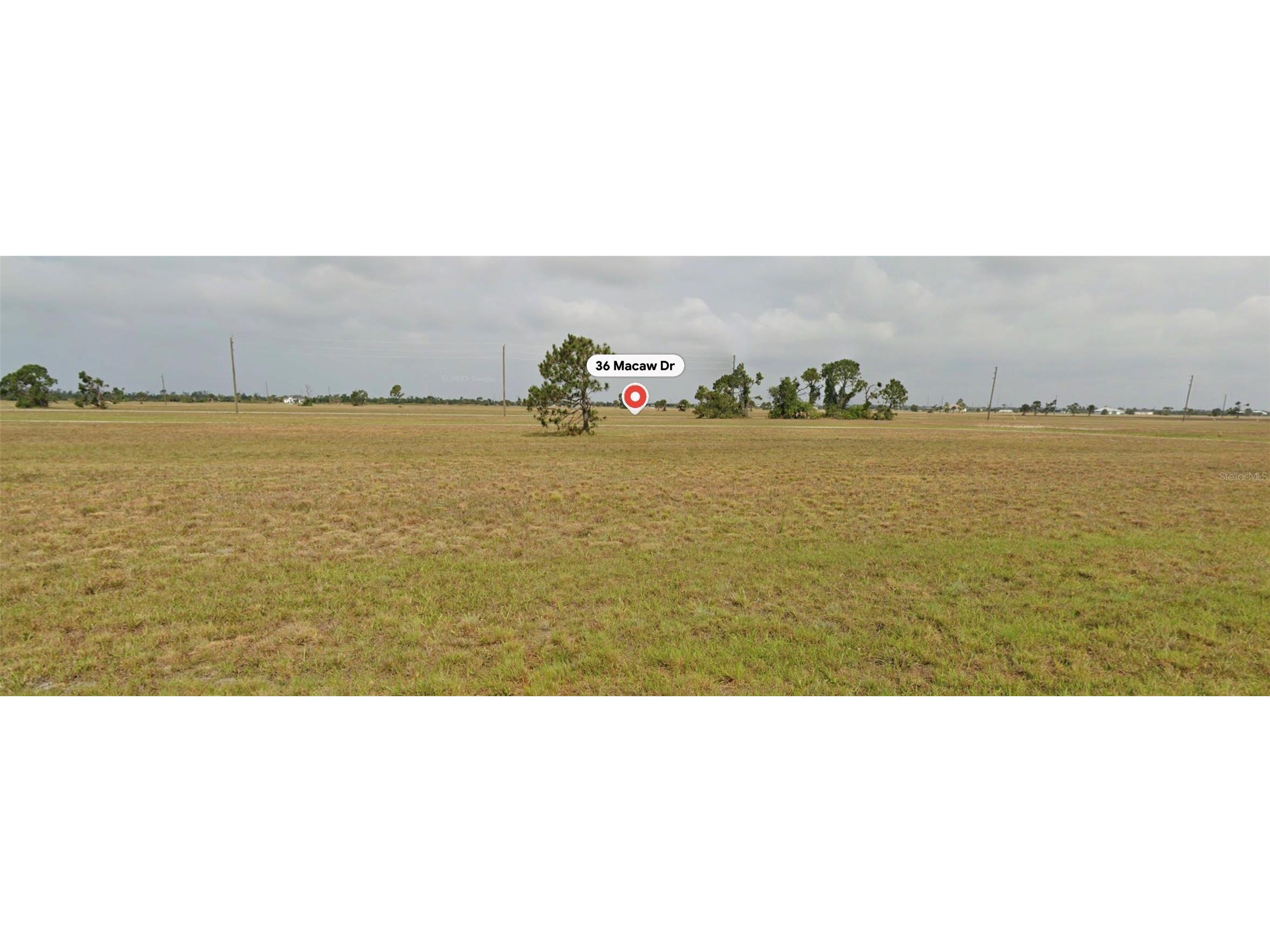 36 Macaw Drive Placida FL 33946 O6405217 image1