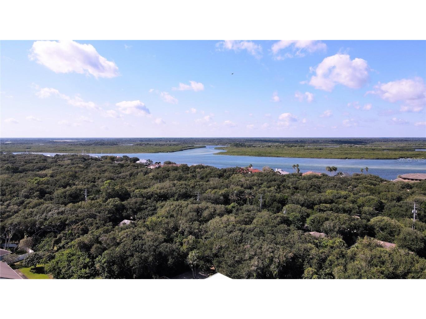 36 Mar Azul N Ponce Inlet FL 32127 O6244479 image4