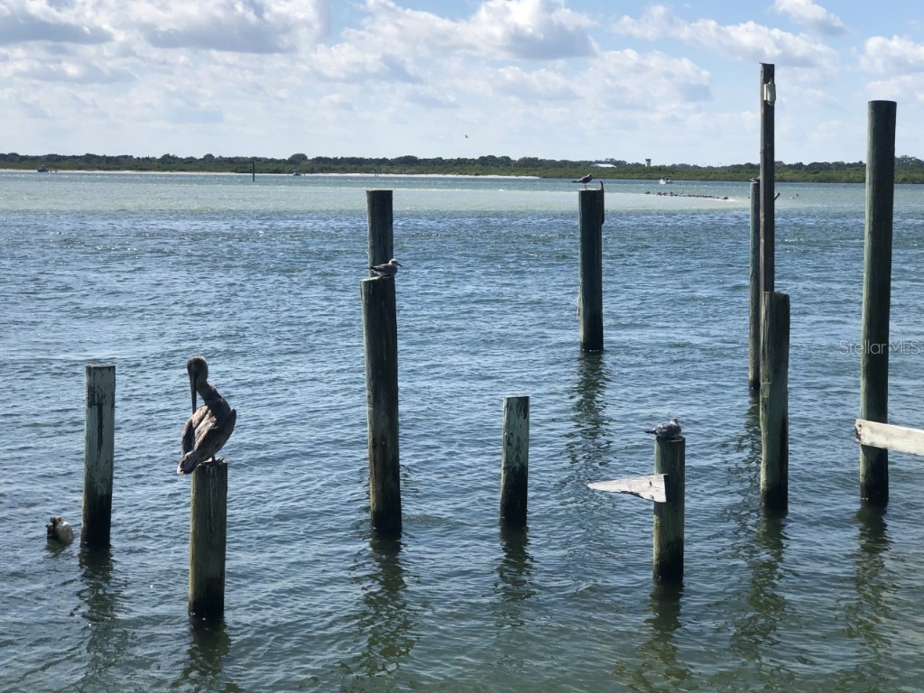 36 Mar Azul N Ponce Inlet FL 32127 O6244479 image9