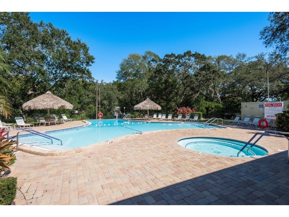 36 New Fawn Court #34 Safety Harbor FL 34695 TB8441179 image33