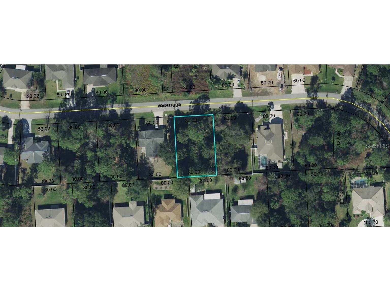 36 Pineapple Drive Palm Coast FL 32164 FC290703 image1