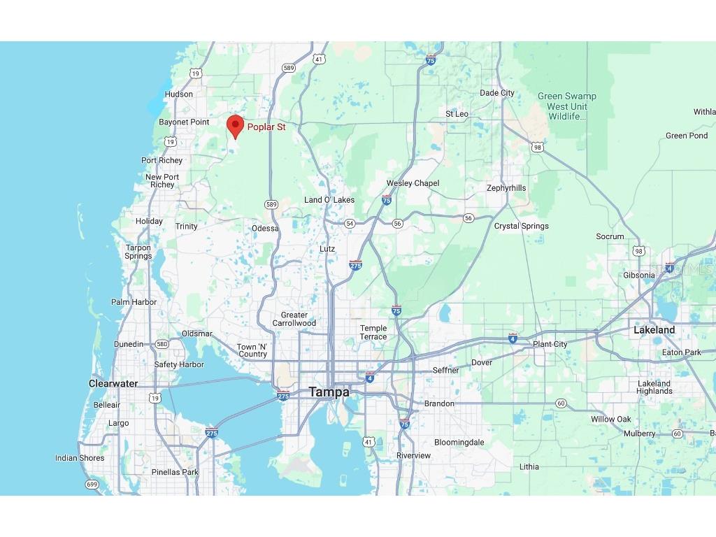 36 Poplar Street New Port Richey FL 34654 W7883427 image10
