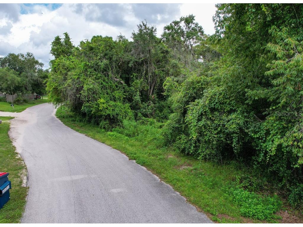 36 Poplar Street New Port Richey FL 34654 W7883427 image11