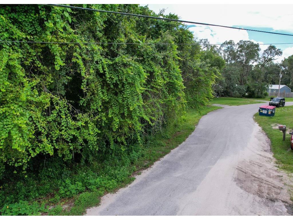 36 Poplar Street New Port Richey FL 34654 W7883427 image12