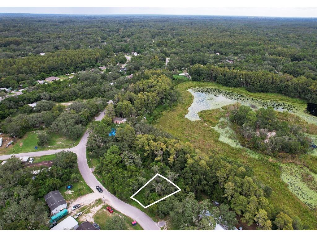 36 Poplar Street New Port Richey FL 34654 W7883427 image2