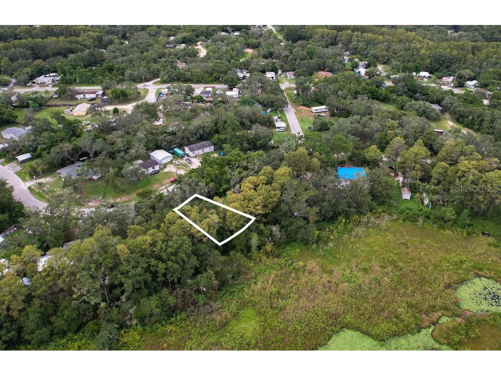 36 Poplar Street New Port Richey FL 34654 W7883427 image3