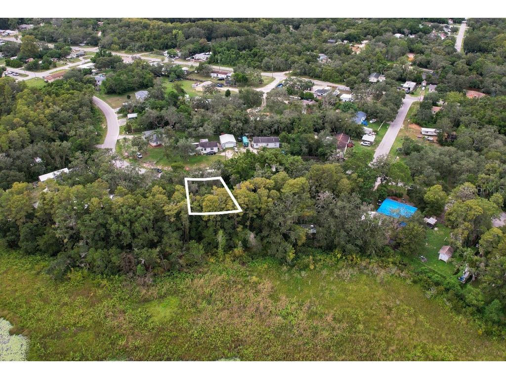 36 Poplar Street New Port Richey FL 34654 W7883427 image4