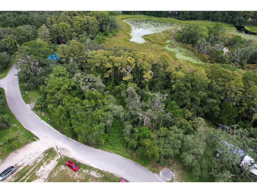 36 Poplar Street New Port Richey FL 34654 W7883427 image5