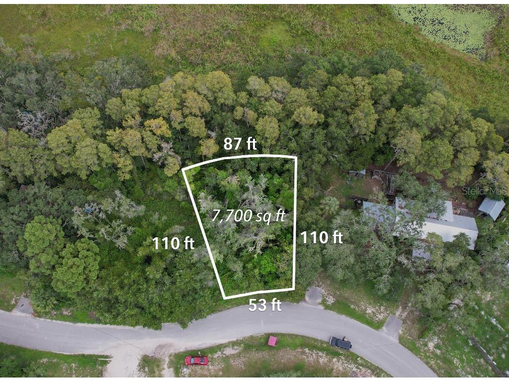 36 Poplar Street New Port Richey FL 34654 W7883427 image6