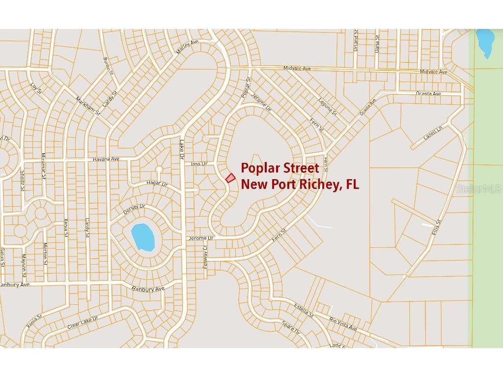 36 Poplar Street New Port Richey FL 34654 W7883427 image7