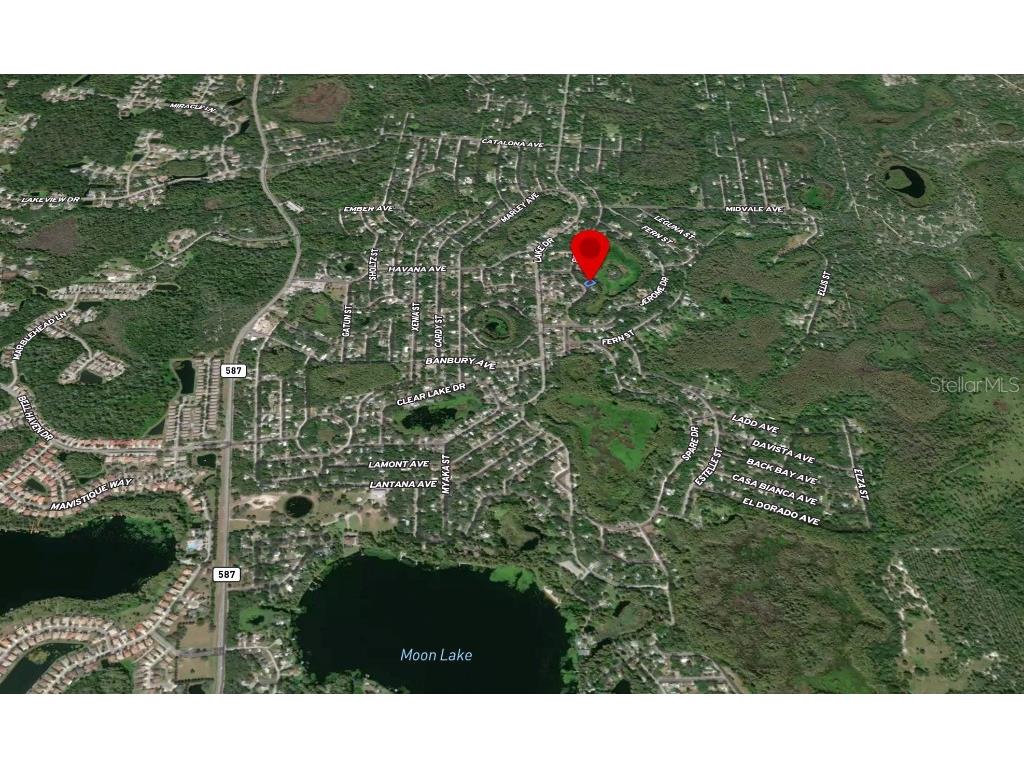36 Poplar Street New Port Richey FL 34654 W7883427 image8