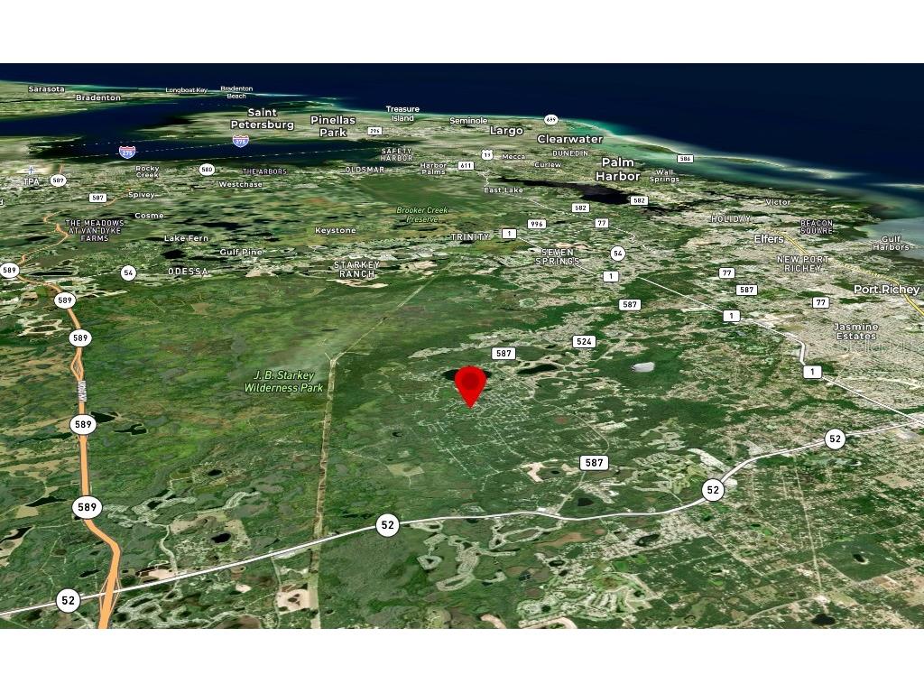 36 Poplar Street New Port Richey FL 34654 W7883427 image9