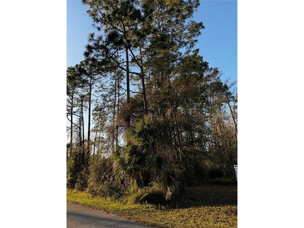 36 Raemoor Drive Palm Coast FL 32164 FC298516 image1