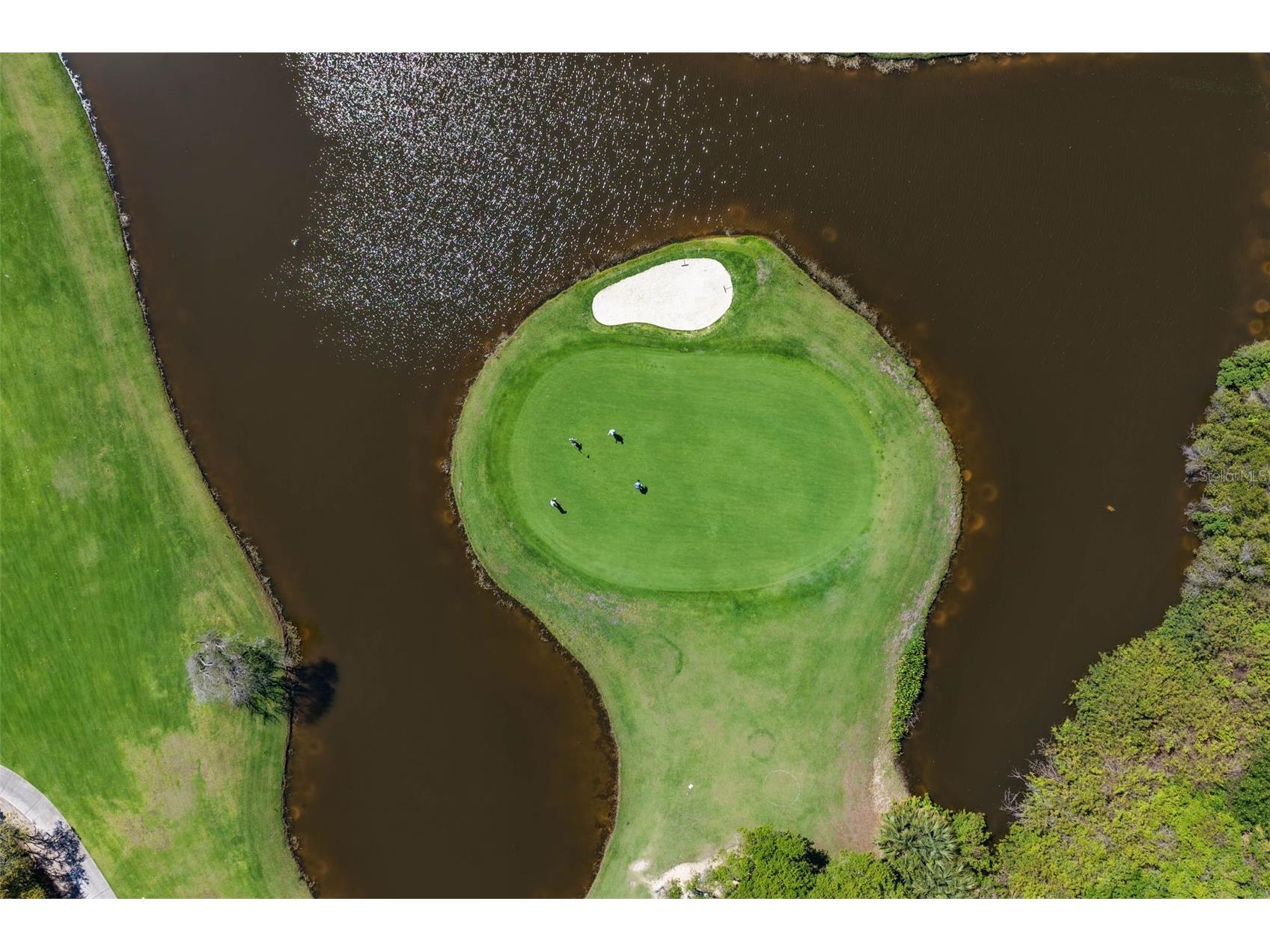 36 Sandpiper Lane Palm Coast FL 32137 FC317766 image20