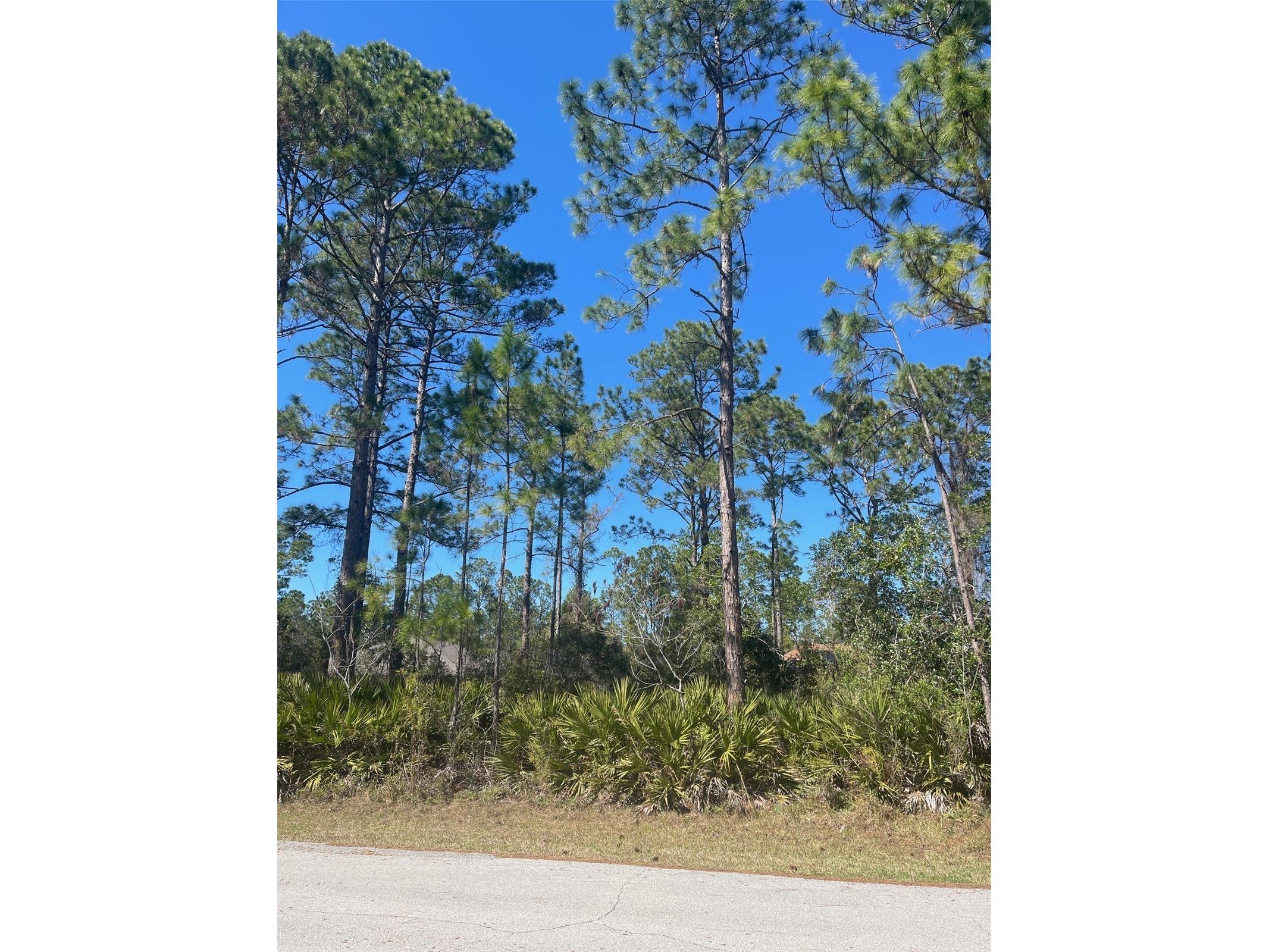 36 Seagoing Trail Palm Coast FL 32164 FC316561 image1