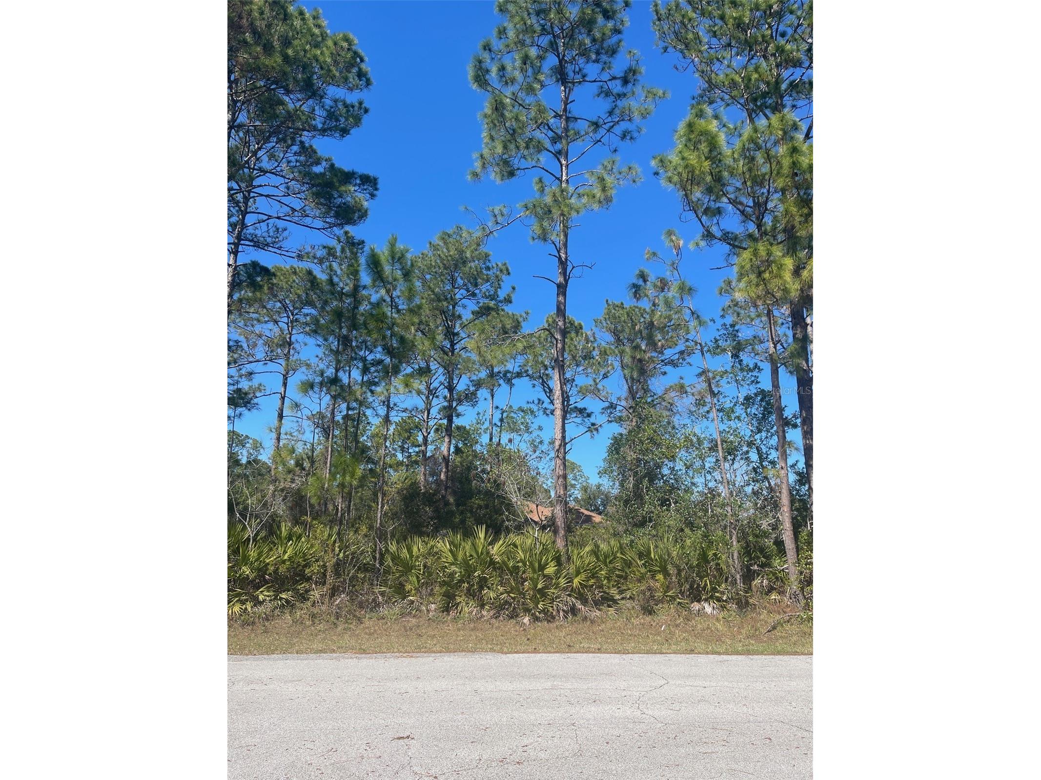 36 Seagoing Trail Palm Coast FL 32164 FC316561 image2